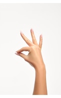 &nbsp;
