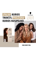 SCHWARZKOPF, CREME SUPREME, plaukų dažai, 5-60 LIGHT CHOCOLATE BROWN, 1 vnt.