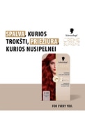 SCHWARZKOPF, CREME SUPREME, plaukų dažai, 6-88 INTENSIVE RED, 1 vnt.