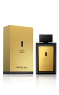 ANTONIO BANDERAS, GOLDEN SECRET, vyriškas tualetinis vanduo, 100 ml