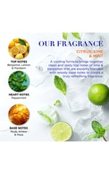 BAYLIS & HARDING, CITRUS, LIME & MINT MEN'S, REFRESHING ESSENTIALS TRIO, dovanų rinkinys, 1 vnt.