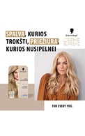 SCHWARZKOPF, CREME SUPREME, plaukų dažai, 9-16 ULTRA LIGHT COOL BLONDE, 1 vnt.